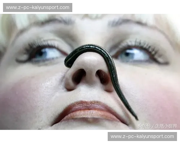 新闻跳水:从危机到逆袭的媒体生存术