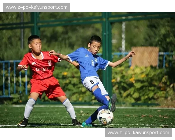 蓝血荣耀,绿茵逐梦:上海申花与华夏幸福的恩怨情仇与绿茵传奇